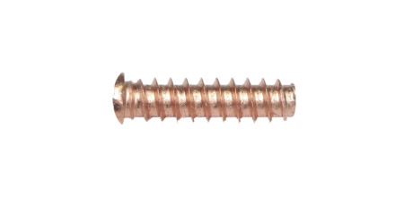 Заклепки з гвинтовою нарізкою GYS M5 x 18 (049420) 100 шт.