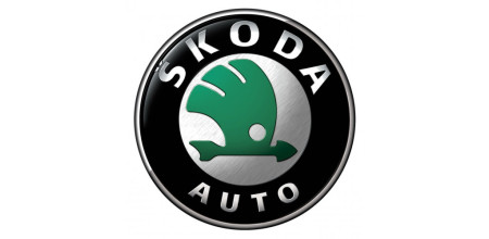 Акрилові емалі для автомобілів Skoda