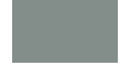 Краска Nissan DT1 GREENISH SILVER, Green silver