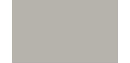 Фарба Toyota 046 WARM GRAY, WARM GREY, OPAL WHITE
