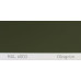 Краска полиуретановая для металла (DTM) Simplex, RAL 6003 OLIVGRUEN, Olive green Краска полиуретановая для металла (DTM) Simplex, RAL 6003 OLIVGRUEN, Olive green
