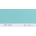 Фарба поліуретанова для металу (DTM)  Simplex, RAL 6027 LICHTGRUEN, Light green